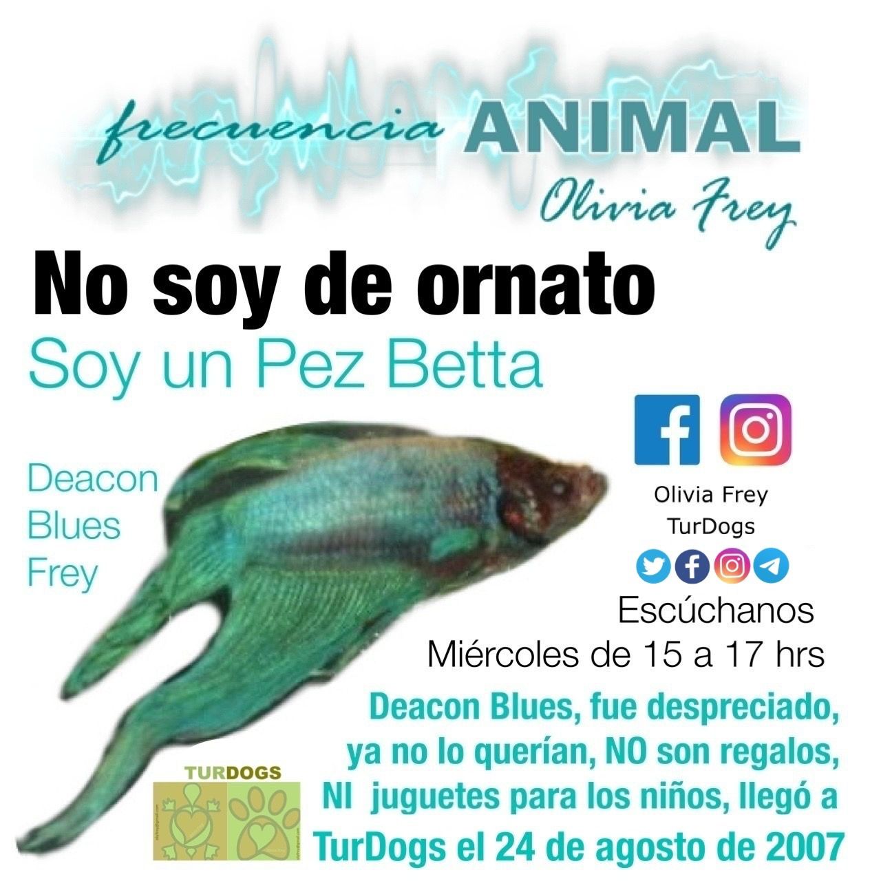 Raza única